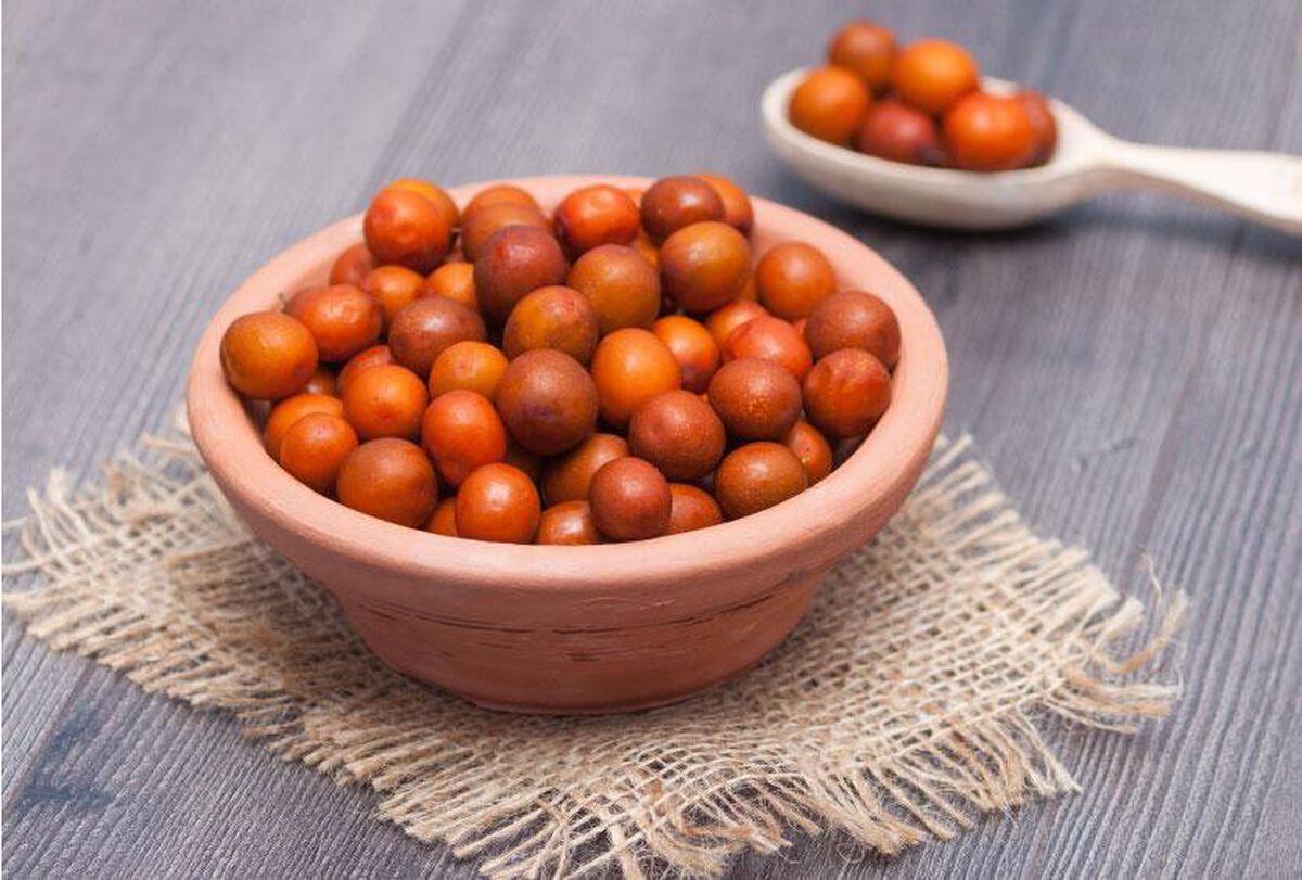 Les bienfaits de l'Huile de Jojoba
