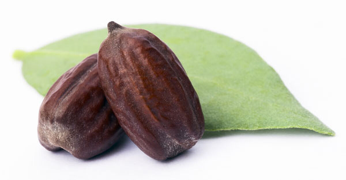Graines de Jojoba
