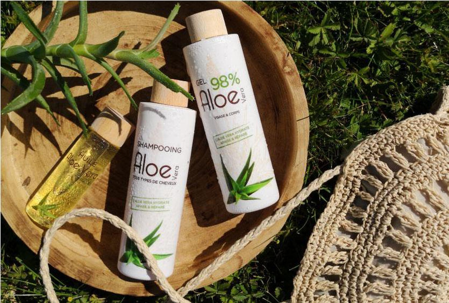 Dcouvrez les multiples bienfaits de l'huile d'Aloe Vera !