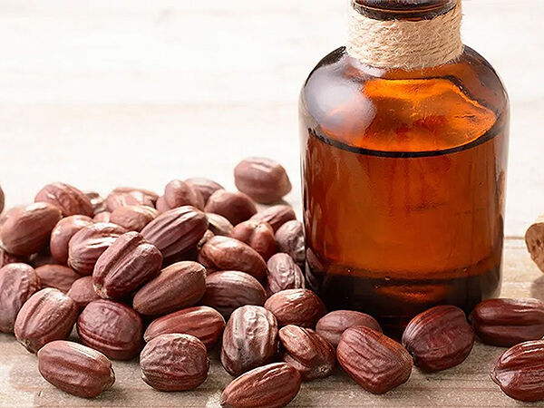 Les bienfaits de l'huile de jojoba Les bienfaits de l'huile de jojoba