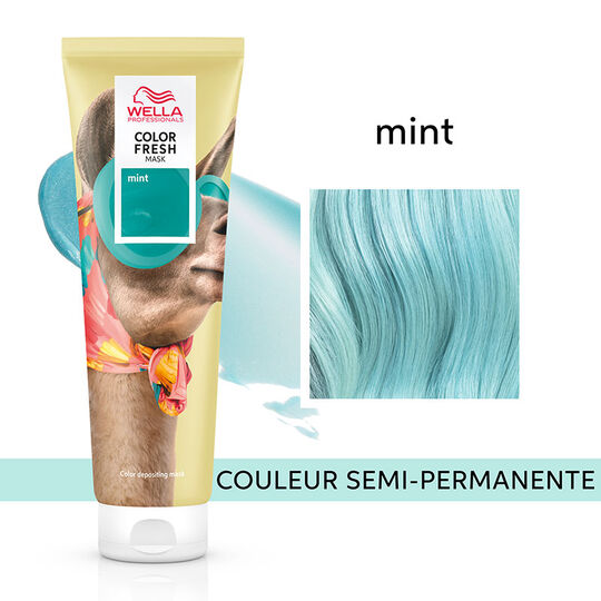 Masque Color Fresh nuance audacieuse mint