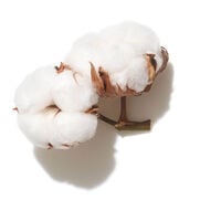 Shampooing volume Invigo Volume Boost 500ml