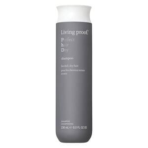 Shampooing Perfect Hair Day