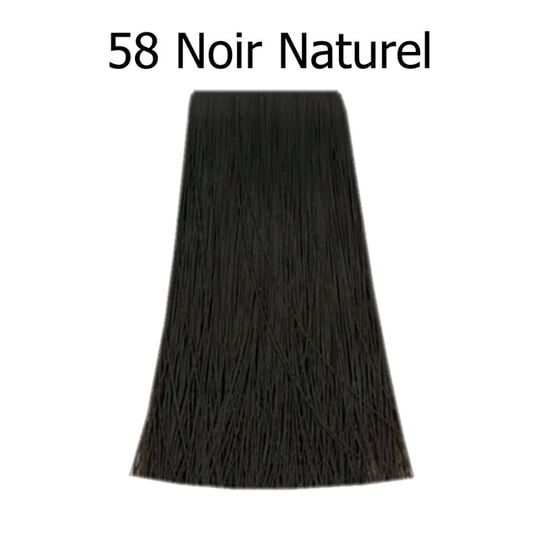 Poudre colorante Bigen 58 Noir Naturel