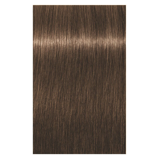 Coloration permanente Igora Royal 6-65 blond fonc&eacute; chocolat dor&eacute;