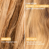 Shampooing nourrissant