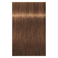 Coloration permanente Igora Royal 7-55 blond dor&eacute; extra
