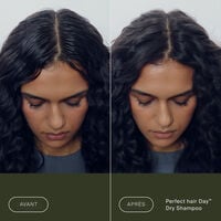 Shampooing sec Perfect Hair Day