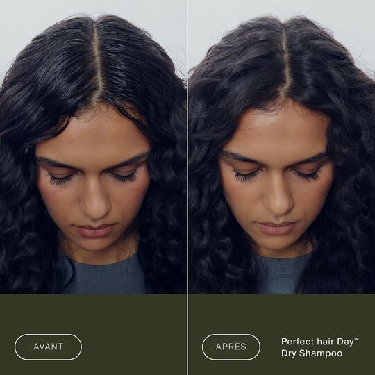 Shampooing sec Perfect Hair Day