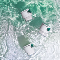 Shampooing sec et poudre volume Vegan Volume Powder