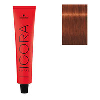 Coloration permanente Igora Royal 6-77 blond foncé cuivré extra