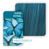 Coloration semi-permanente Color Fresh Create super petrol