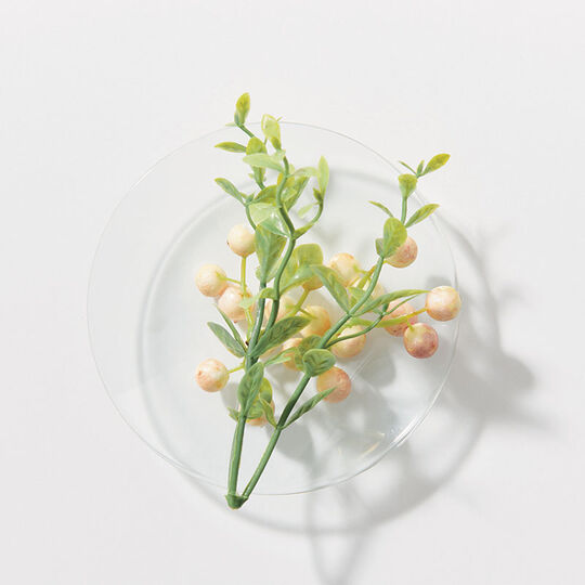 Shampooing l&eacute;ger pour cheveux blonds fins &agrave; normaux Blondme