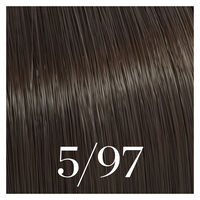 Coloration semi-permanente Color Touch 5/97 ch&acirc;tain clair fum&eacute; marron