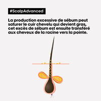 Argile 2-en-1 purifiante anti-gras Scalp Advanced 500ml