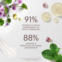 Shampooing &eacute;quilibrant cuir chevelu