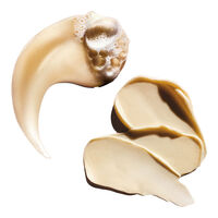 Coffret duo Absolut Repair &eacute;dition limit&eacute;e Meteora