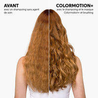 Duo cheveux fins color&eacute;s Color Motion+