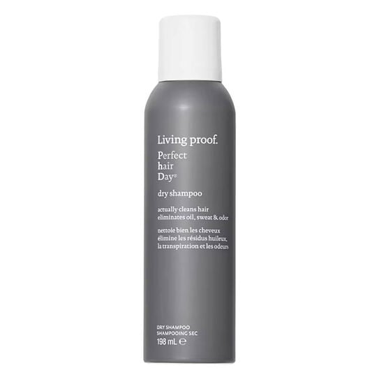 Shampooing sec Perfect Hair Day