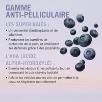 Shampooing anti-pelliculaire BC Scalp,  Shampooing anti-pelliculaire BC Scalp