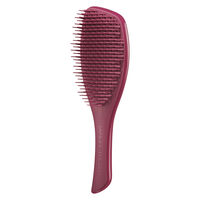 Brosse Complete Care Brush glossed raspberry