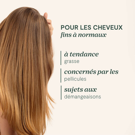 Shampooing purifiant