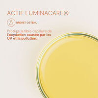 Shampooing nourrissant