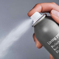 Shampooing sec Perfect Hair Day