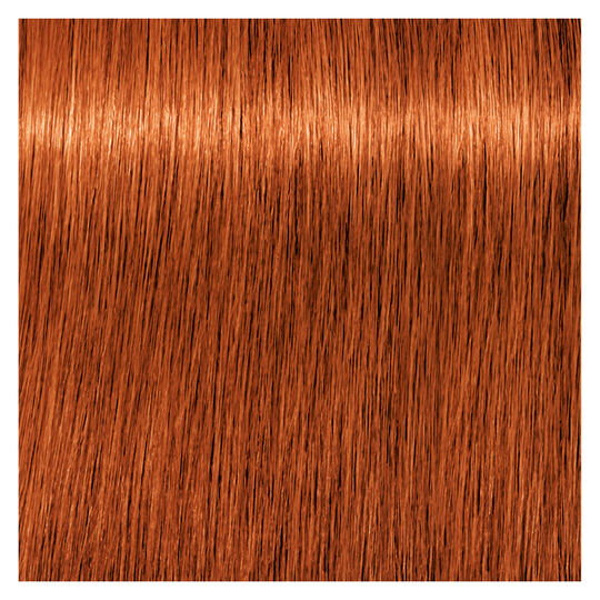 Coloration demi-permanente Igora Vibrance 7-77