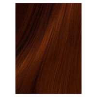 Masque nutri color 740 - copper cabana