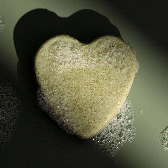 Shampooing solide purifiant &agrave; l'ortie piquante