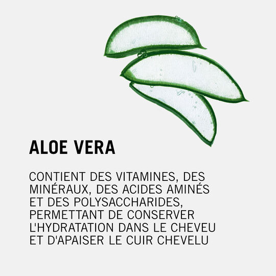 Shampooing hydratant aloe vera BC Moisture Kick 500 ml