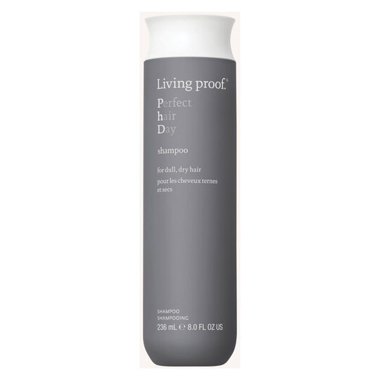 Shampooing Perfect Hair Day