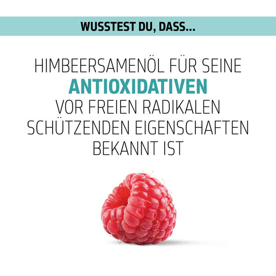 Shampooing purifiant Scalp Specialist