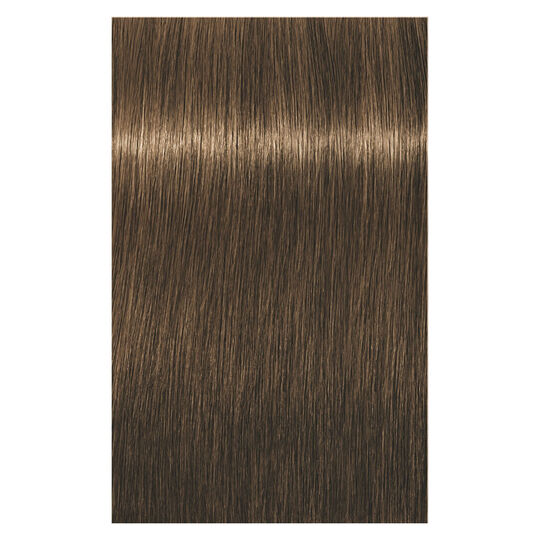 Coloration permanente Igora Royal 6-5 blond fonc&eacute; dor&eacute;
