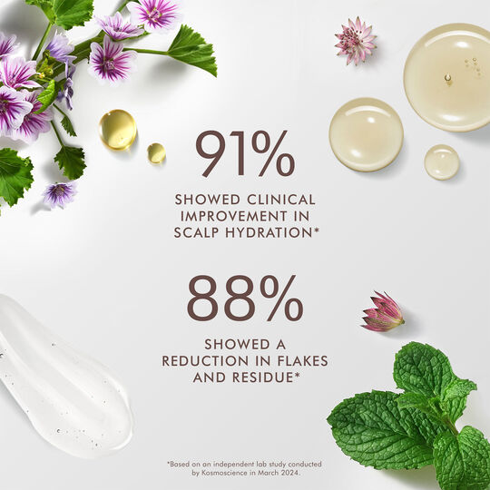 Shampooing équilibrant cuir chevelu