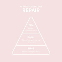 Spray thermo-protecteur Repair Thermo