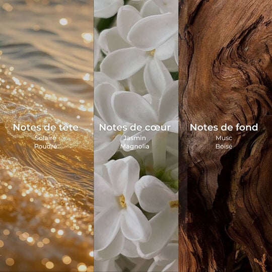 Shampooing hydratation Hair Therapy 50 ml