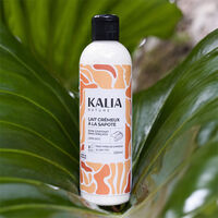 Lait crémeux à la sapote