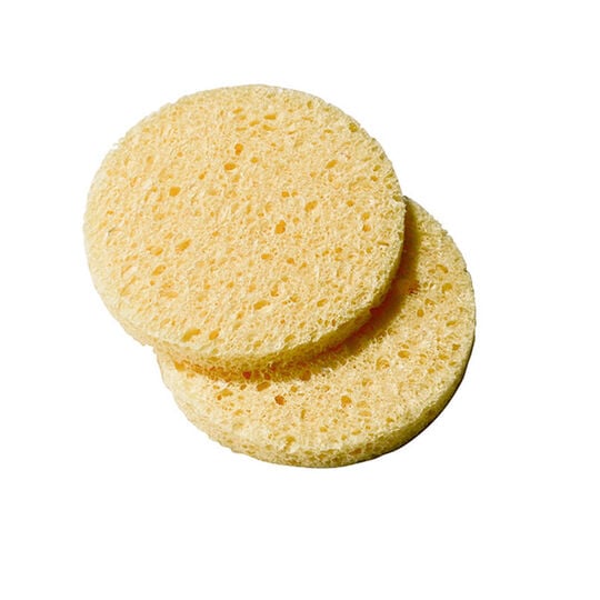 &Eacute;ponge cellulose x 25