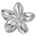 argent