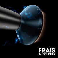 Embout pour s&egrave;che cheveux Speed diffuseur