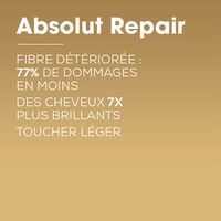 Spray Perfecteur Multi Usage Absolut Repair 10 en 1