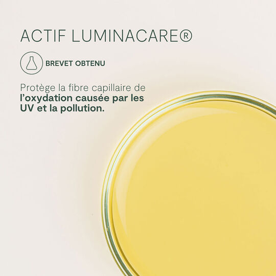 Shampooing purifiant