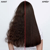 Duo anti-frisottis Frizz Dismiss