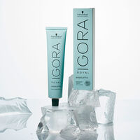 Coloration permanente Igora Royal 10-21 blond très très clair irisé cendré