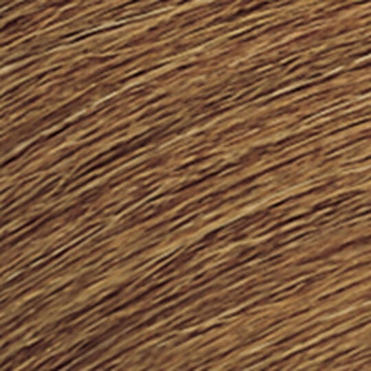 Coloration ton sur ton Shades EQ Gloss 06WG doré chaud mango