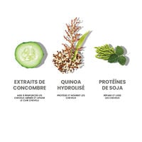 Routine Hydrate My Hair