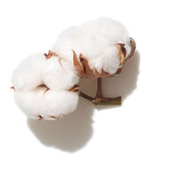 Shampooing volume Invigo Volume Boost 300ml,  Shampooing volume Invigo Volume Boost 300ml