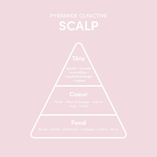 Masque pré-shampooing argile purifiante Scalp